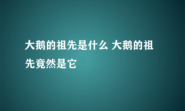 大鹅的祖先是什么 大鹅的祖先竟然是它