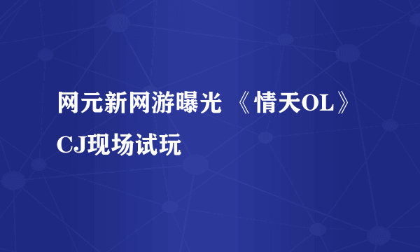 网元新网游曝光 《情天OL》CJ现场试玩