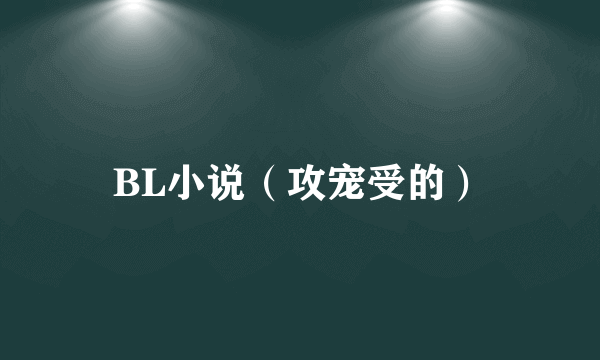 BL小说（攻宠受的）