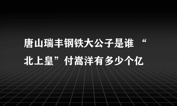 唐山瑞丰钢铁大公子是谁 “北上皇”付嵩洋有多少个亿