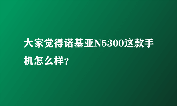 大家觉得诺基亚N5300这款手机怎么样？