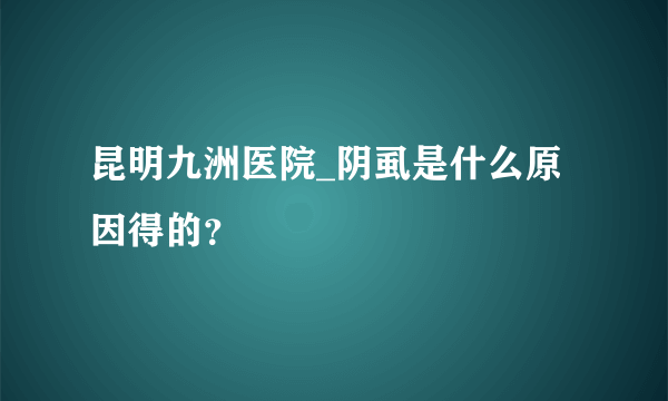 昆明九洲医院_阴虱是什么原因得的？