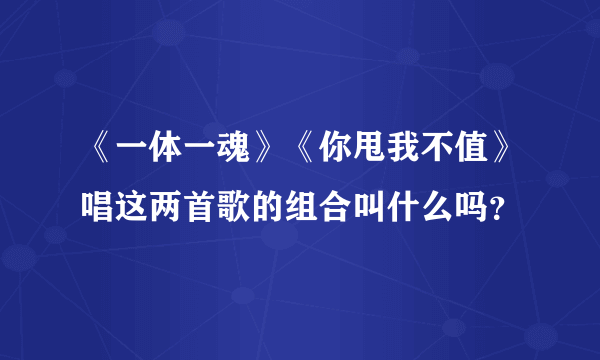 《一体一魂》《你甩我不值》唱这两首歌的组合叫什么吗？