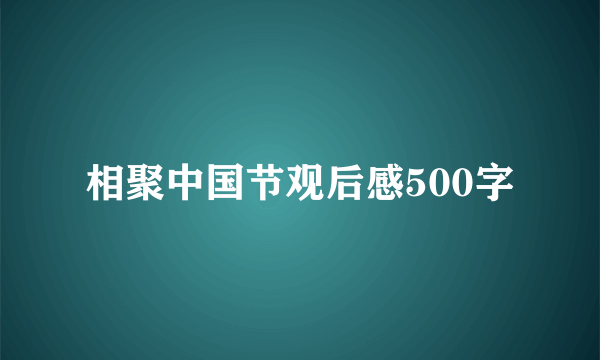 相聚中国节观后感500字