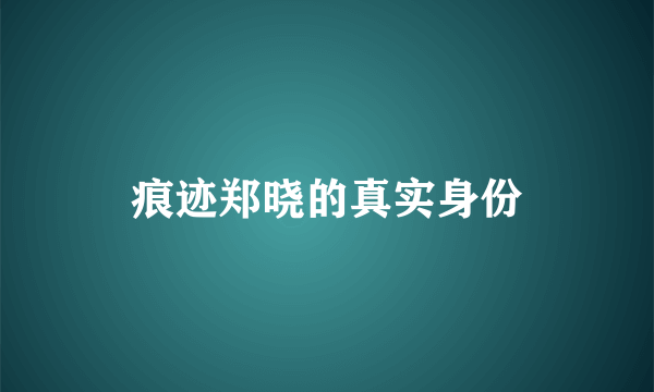 痕迹郑晓的真实身份