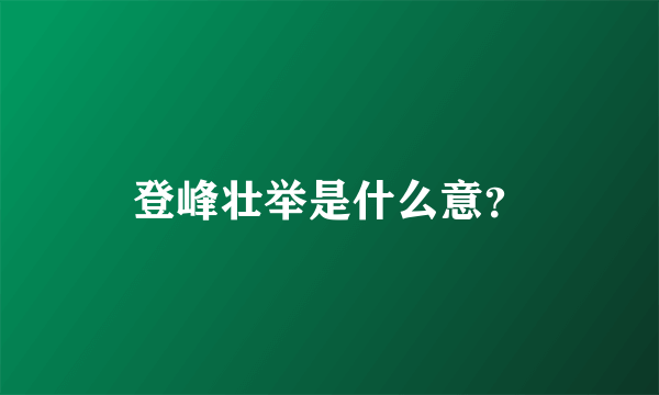 登峰壮举是什么意？