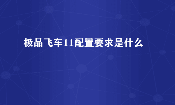 极品飞车11配置要求是什么