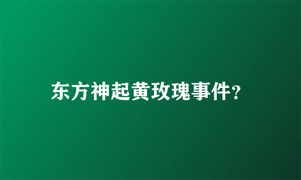 东方神起黄玫瑰事件？