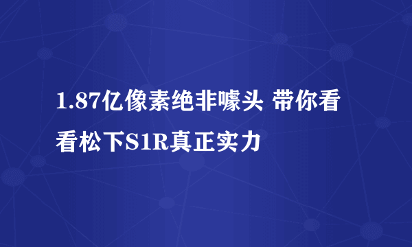 1.87亿像素绝非噱头 带你看看松下S1R真正实力