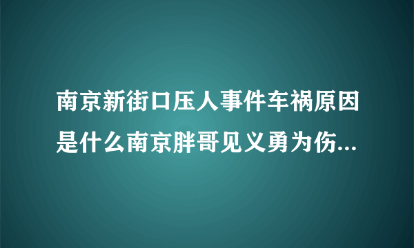 南京新街口压人事件车祸原因是什么南京胖哥见义勇为伤势如何_飞外