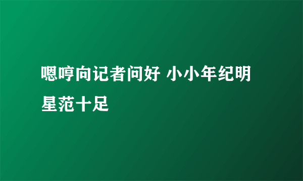 嗯哼向记者问好 小小年纪明星范十足