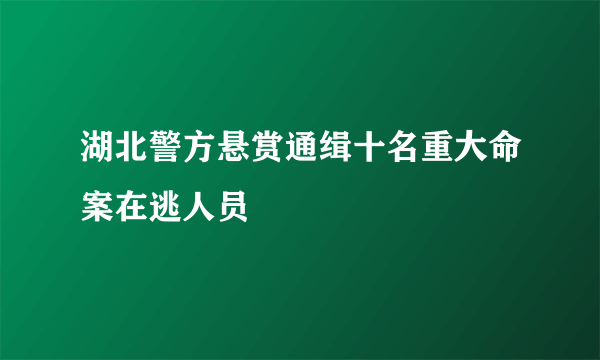 湖北警方悬赏通缉十名重大命案在逃人员