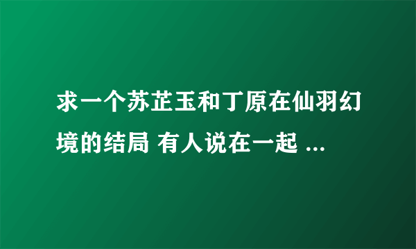 求一个苏芷玉和丁原在仙羽幻境的结局 有人说在一起 有人说没有 到底有没有啊 急急急