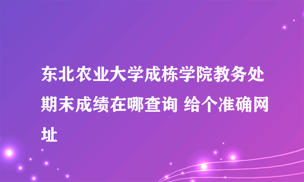 东北农业大学成栋学院教务处期末成绩在哪查询 给个准确网址