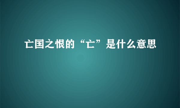 亡国之恨的“亡”是什么意思