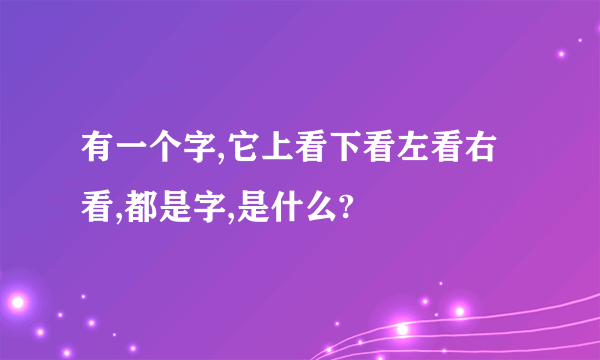 有一个字,它上看下看左看右看,都是字,是什么?