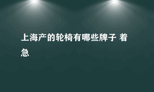 上海产的轮椅有哪些牌子 着急