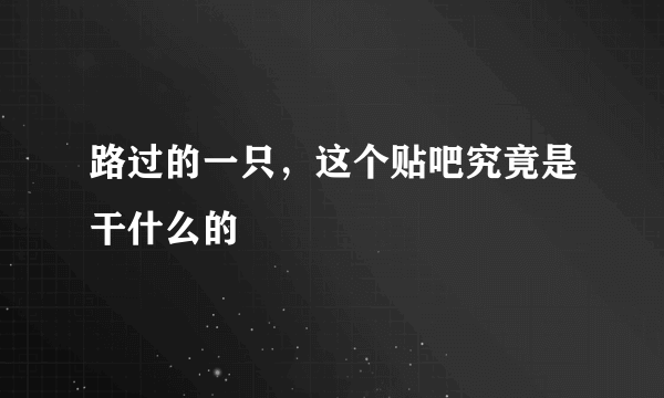 路过的一只，这个贴吧究竟是干什么的