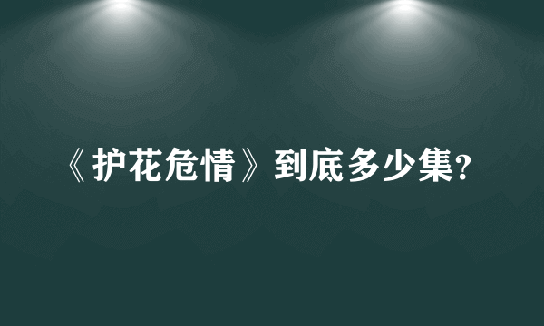 《护花危情》到底多少集？