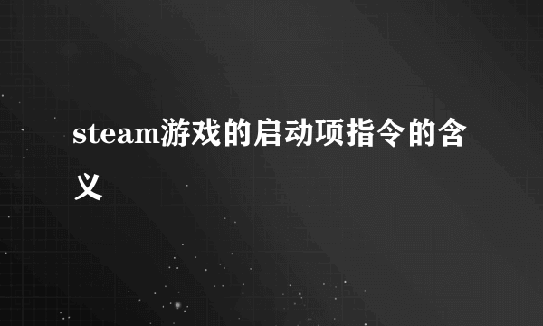 steam游戏的启动项指令的含义