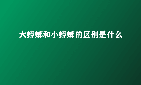 大蟑螂和小蟑螂的区别是什么