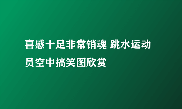 喜感十足非常销魂 跳水运动员空中搞笑图欣赏