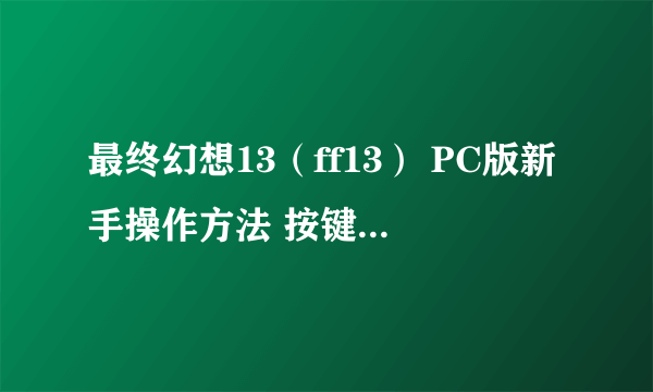 最终幻想13（ff13） PC版新手操作方法 按键操作指南