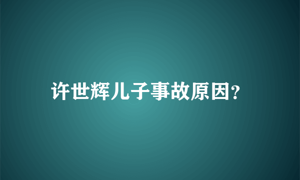 许世辉儿子事故原因？