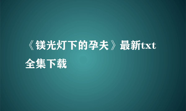 《镁光灯下的孕夫》最新txt全集下载