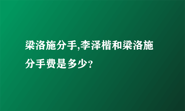 梁洛施分手,李泽楷和梁洛施分手费是多少？