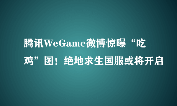 腾讯WeGame微博惊曝“吃鸡”图！绝地求生国服或将开启