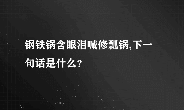 钢铁锅含眼泪喊修瓢锅,下一句话是什么？