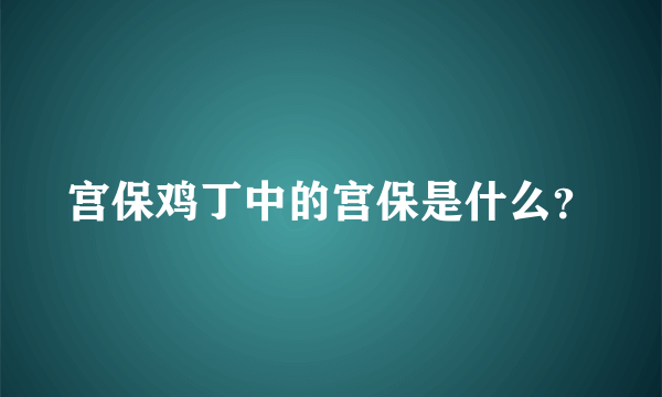 宫保鸡丁中的宫保是什么？