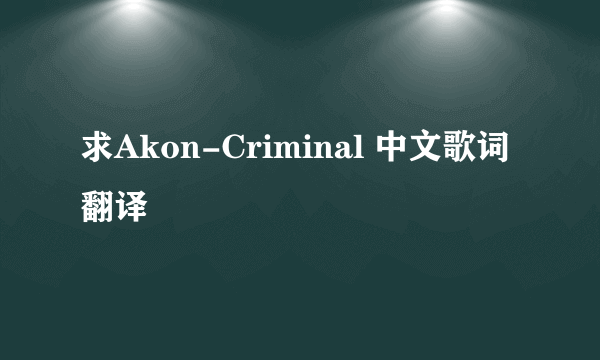 求Akon-Criminal 中文歌词翻译