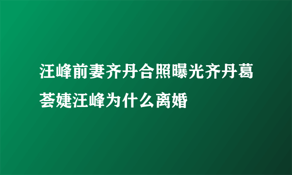 汪峰前妻齐丹合照曝光齐丹葛荟婕汪峰为什么离婚