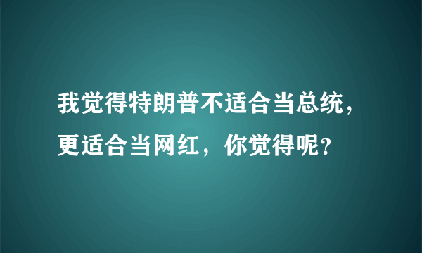 我觉得特朗普不适合当总统，更适合当网红，你觉得呢？