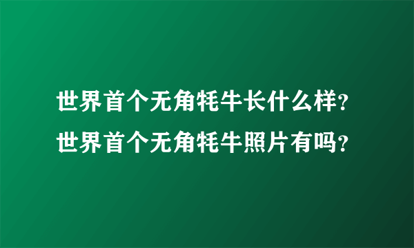 世界首个无角牦牛长什么样？世界首个无角牦牛照片有吗？