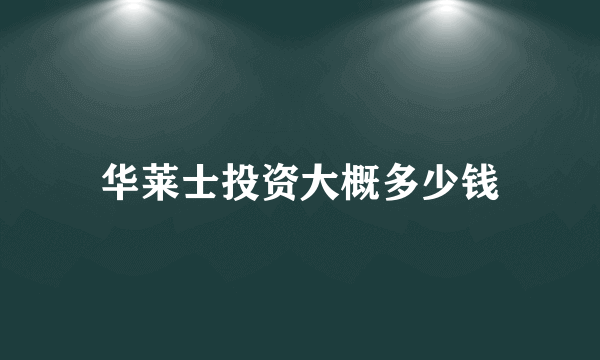 华莱士投资大概多少钱