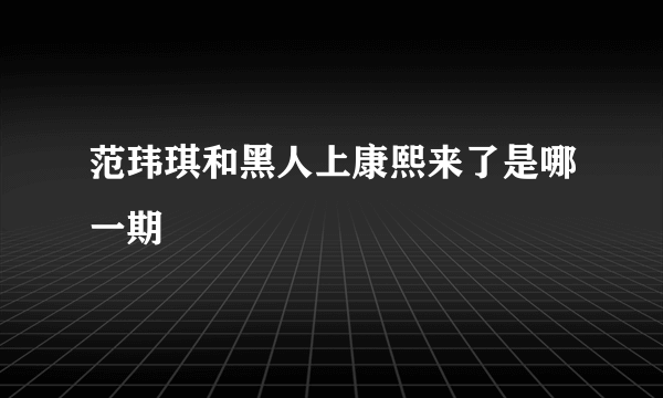 范玮琪和黑人上康熙来了是哪一期