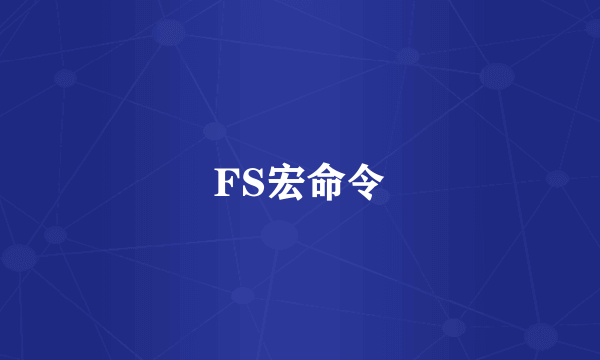 FS宏命令