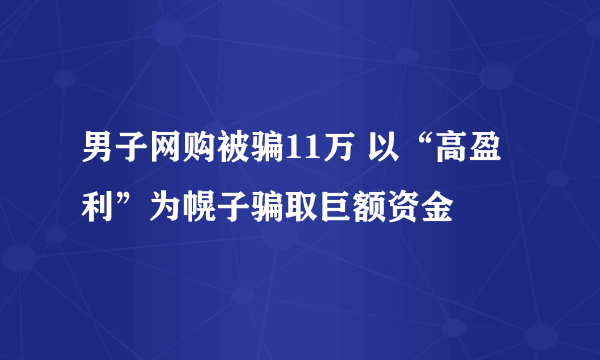 男子网购被骗11万 以“高盈利”为幌子骗取巨额资金