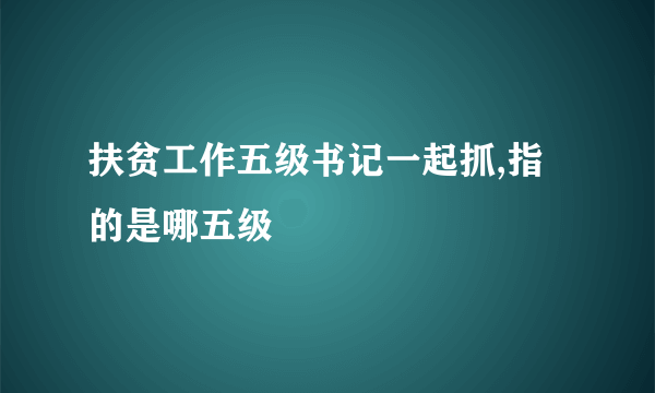 扶贫工作五级书记一起抓,指的是哪五级