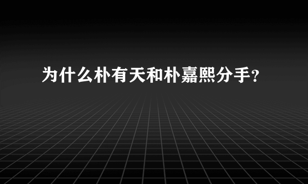 为什么朴有天和朴嘉熙分手？