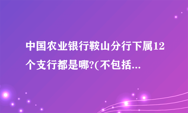 中国农业银行鞍山分行下属12个支行都是哪?(不包括海台岫)