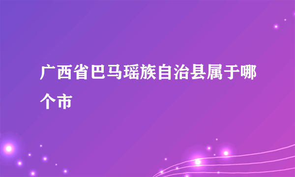 广西省巴马瑶族自治县属于哪个市