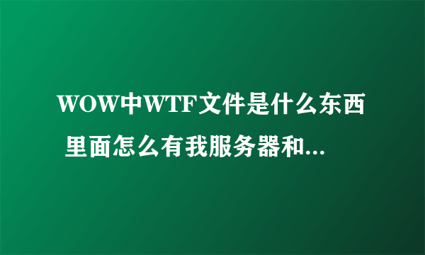 WOW中WTF文件是什么东西 里面怎么有我服务器和人物的名字呢 删除了可以？