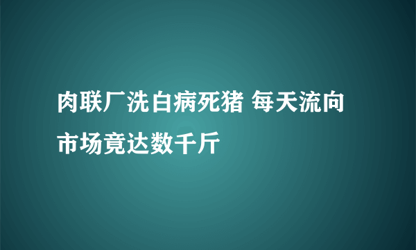 肉联厂洗白病死猪 每天流向市场竟达数千斤