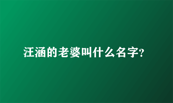 汪涵的老婆叫什么名字？