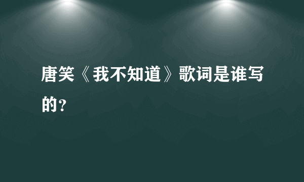 唐笑《我不知道》歌词是谁写的？