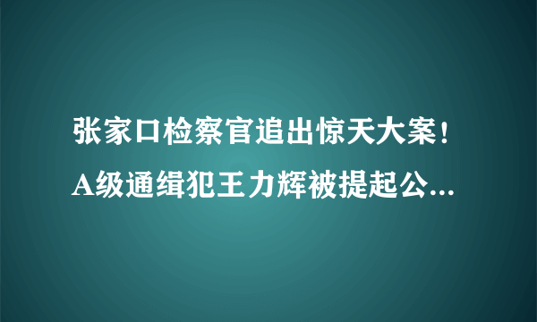 张家口检察官追出惊天大案！A级通缉犯王力辉被提起公诉, 你怎么看？